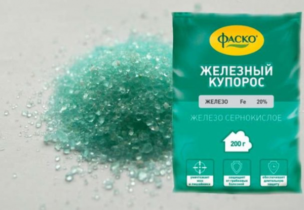 Антисептик для дерева своими руками: разумная экономия, желанный эффект Антисептик для дерева своими руками: разумная экономия, желанный эффект