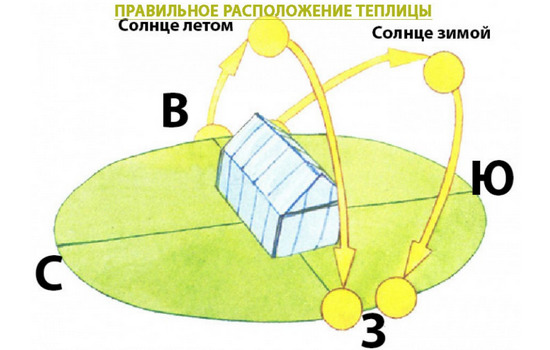 Как расположить грядки в теплице 3 на 6: возможные способы размещения Как расположить грядки в теплице 3 на 6: возможные способы размещения