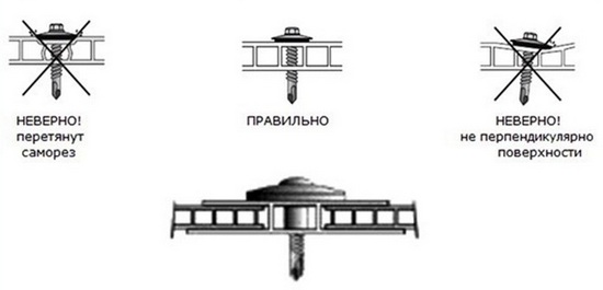 Как прикрутить поликарбонат на теплицу сверху: возможные решения Как прикрутить поликарбонат на теплицу сверху: возможные решения