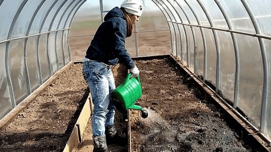 Обработка теплицы осенью Фитоспорином: особенности препарата и этапы операции Обработка теплицы осенью Фитоспорином: особенности препарата и этапы операции