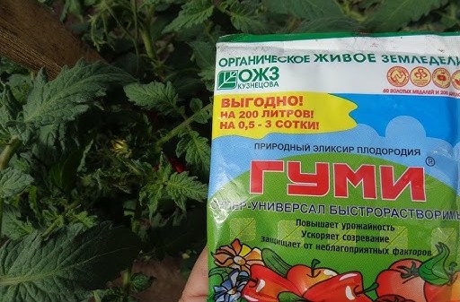 Обработка теплицы осенью Фитоспорином: особенности препарата и этапы операции Обработка теплицы осенью Фитоспорином: особенности препарата и этапы операции