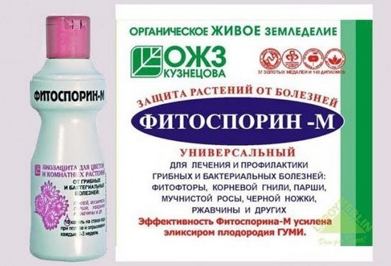 Чем обработать землю в теплице весной от вредителей и болезней? Чем обработать землю в теплице весной от вредителей и болезней?