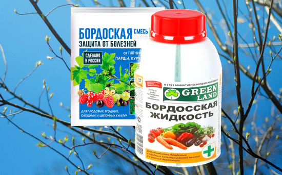 Чем обработать землю в теплице весной от вредителей и болезней? Чем обработать землю в теплице весной от вредителей и болезней?
