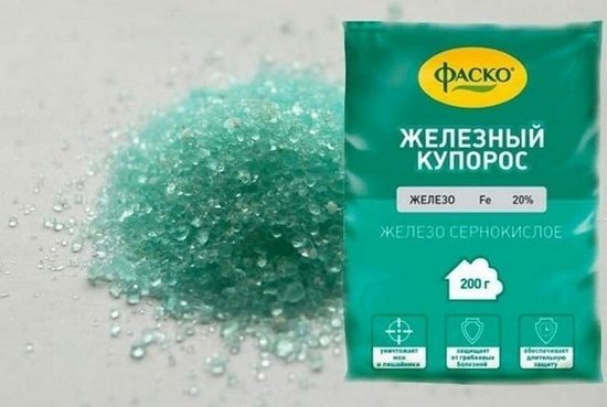 Чем обработать землю в теплице весной от вредителей и болезней? Чем обработать землю в теплице весной от вредителей и болезней?
