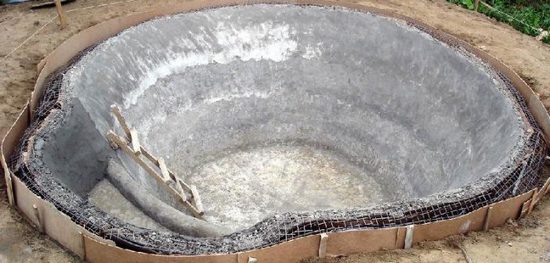 Пруд на участке: особенности водоемов, их роли, создание «личных водохранилищ» Пруд на участке: особенности водоемов, их роли, создание «личных водохранилищ»